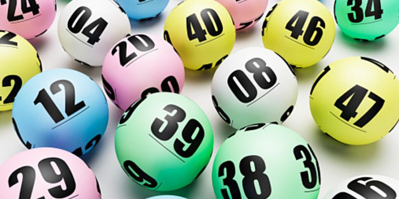 33win68 gà chọi cam ranh