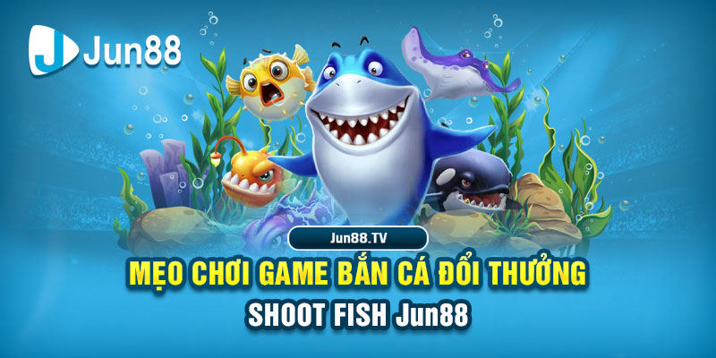 33win68 tai game danh bai bigkool ve may tinh