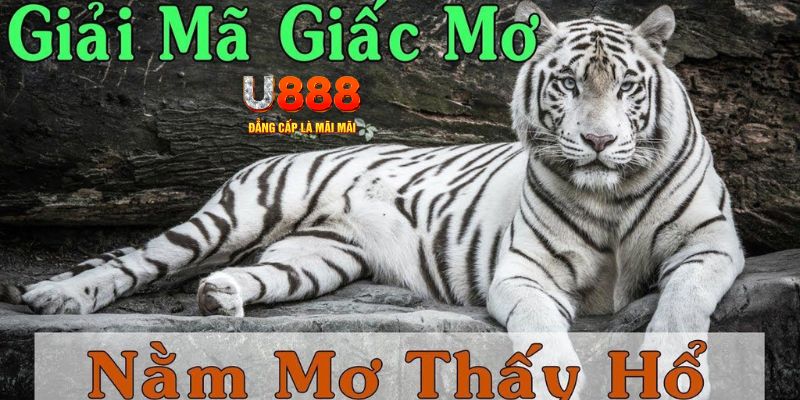 33win68 xổ số kiến thiết miền bắc