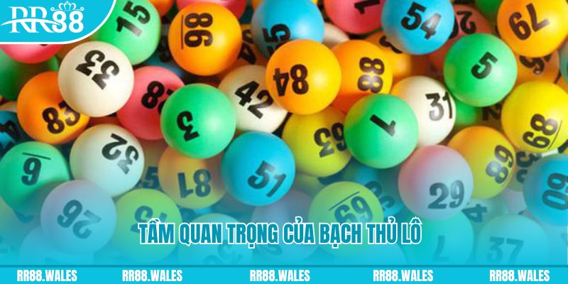33win68 đá gà trực tiếp casino