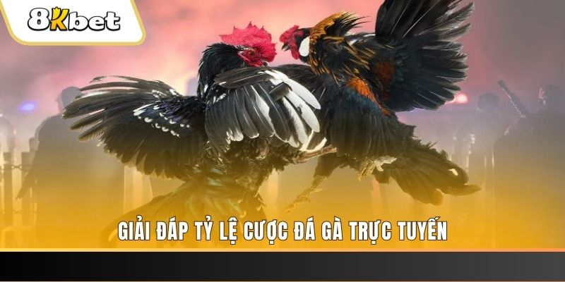 33win68 xổ số ba đài