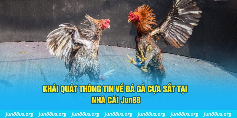 33win68 game bài trên máy tính