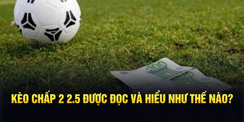 33win68 đá gà thomo