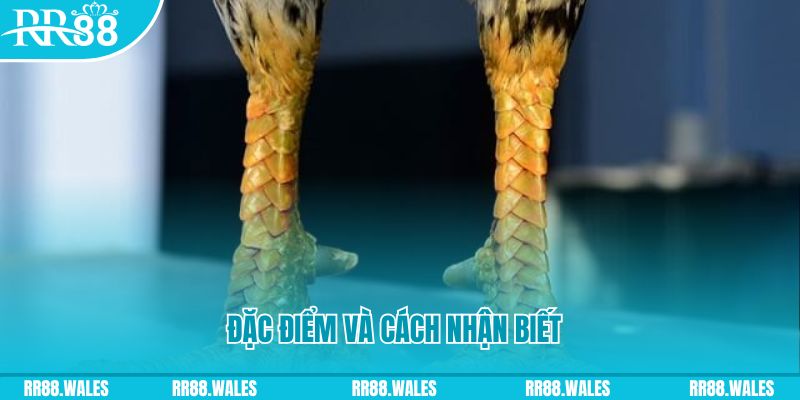 tai game danh bai ve may tinh mien phi